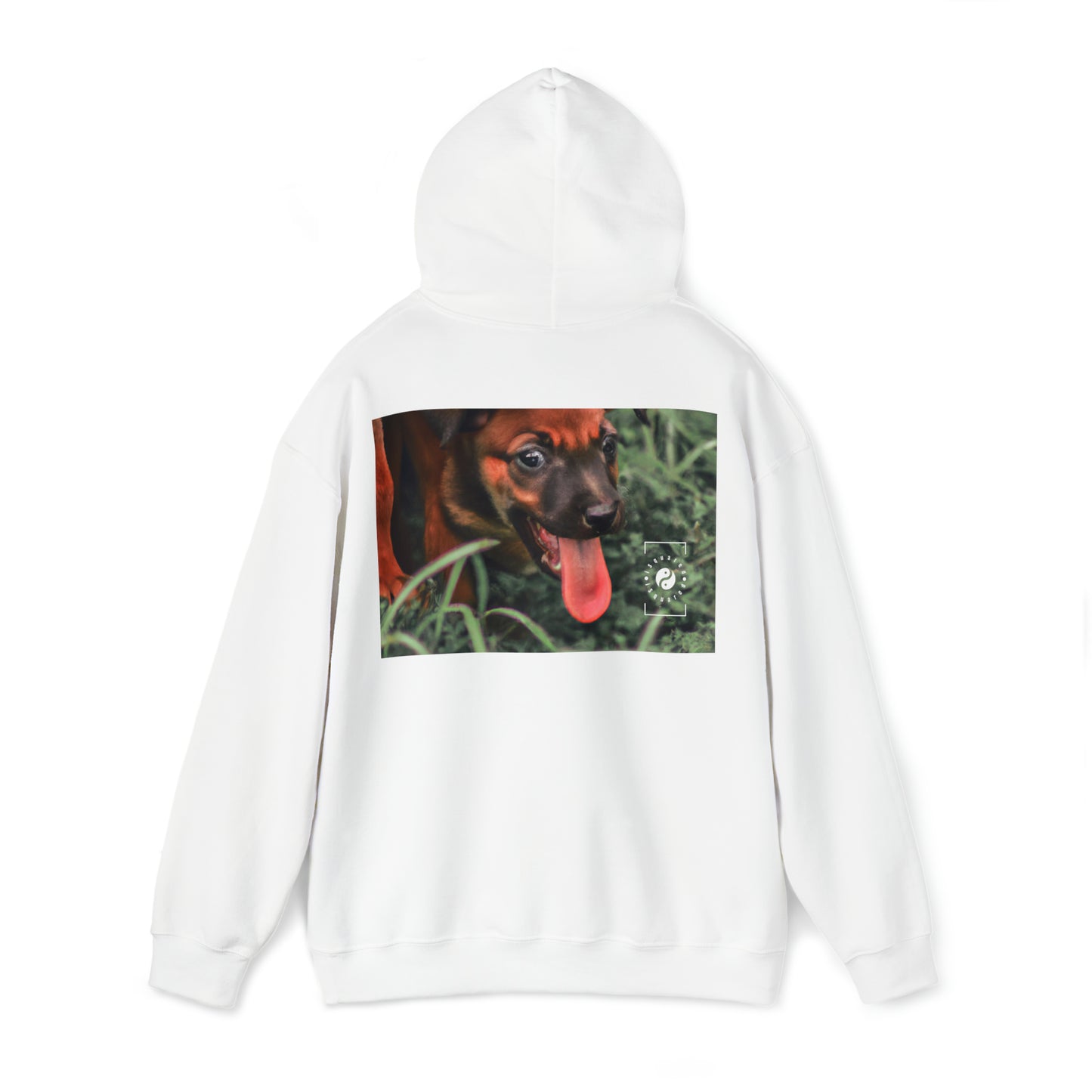 Bernardino da Veruzanno - Hoodie