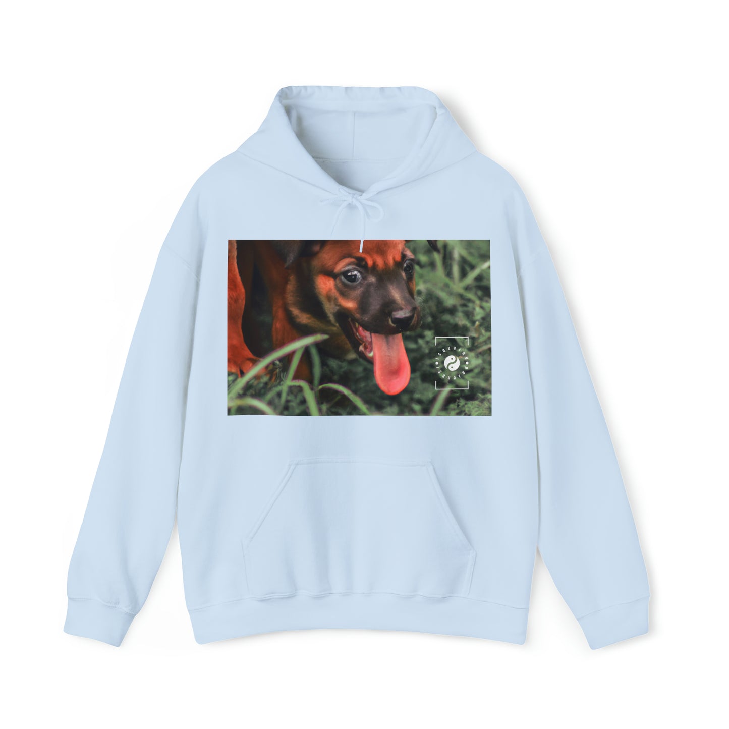 Bernardino da Veruzanno - Hoodie