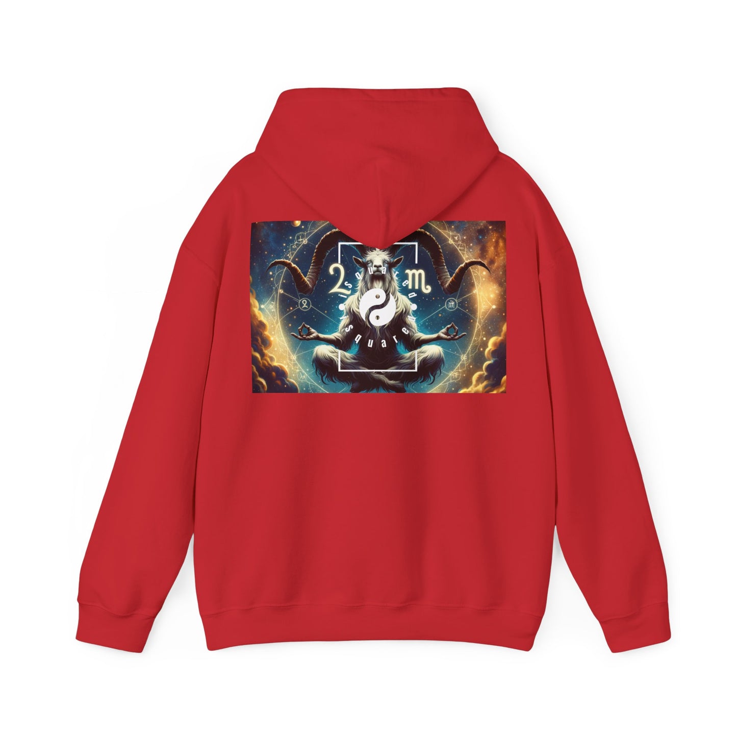 Audacious Capricorn - Hoodie