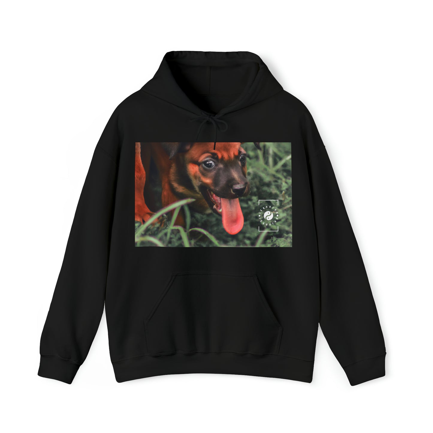 Bernardino da Veruzanno - Hoodie