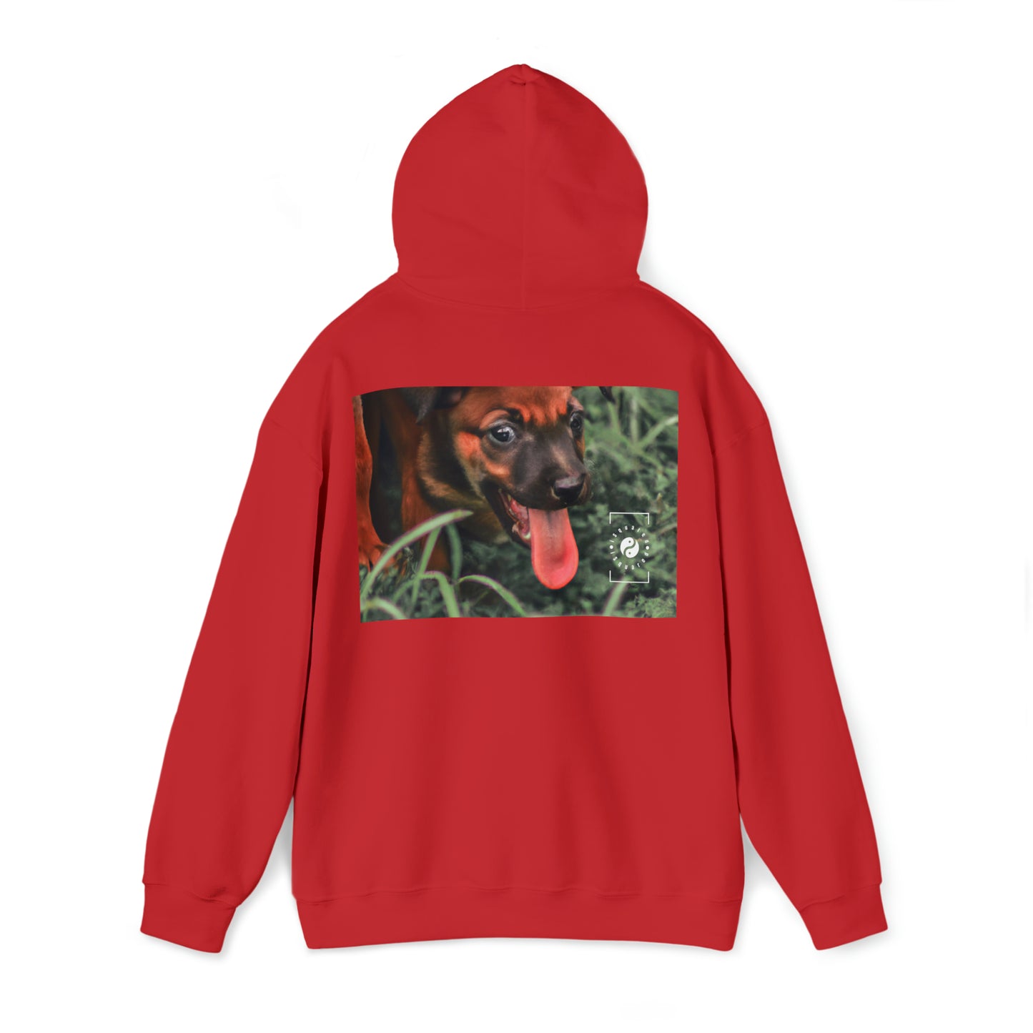 Bernardino da Veruzanno - Hoodie