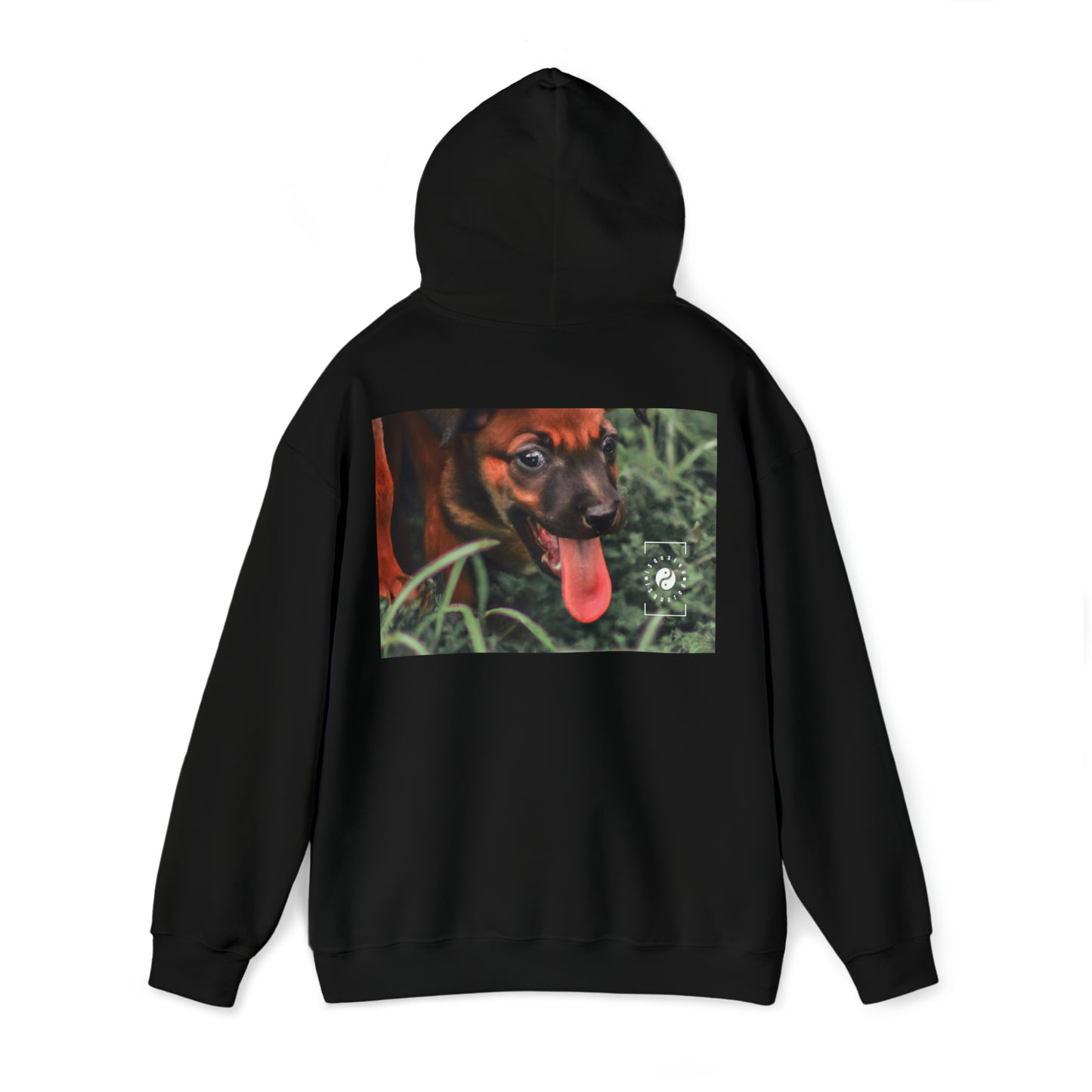 Bernardino da Veruzanno - Hoodie