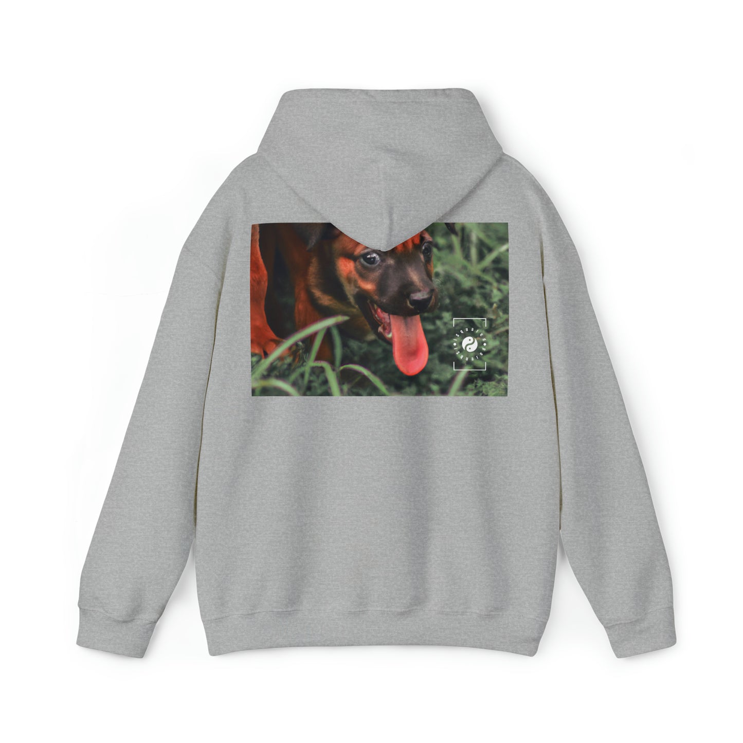 Bernardino da Veruzanno - Hoodie