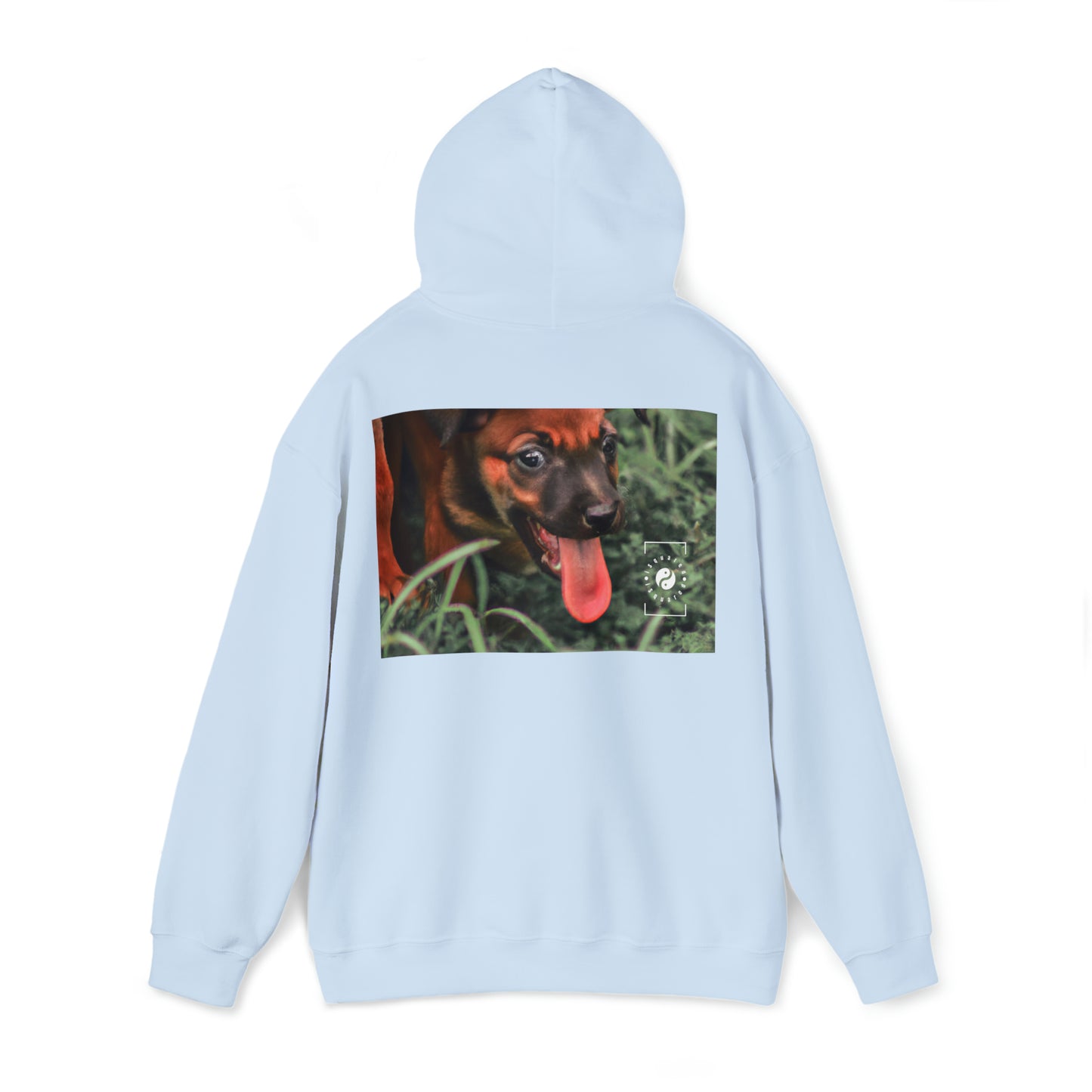 Bernardino da Veruzanno - Hoodie