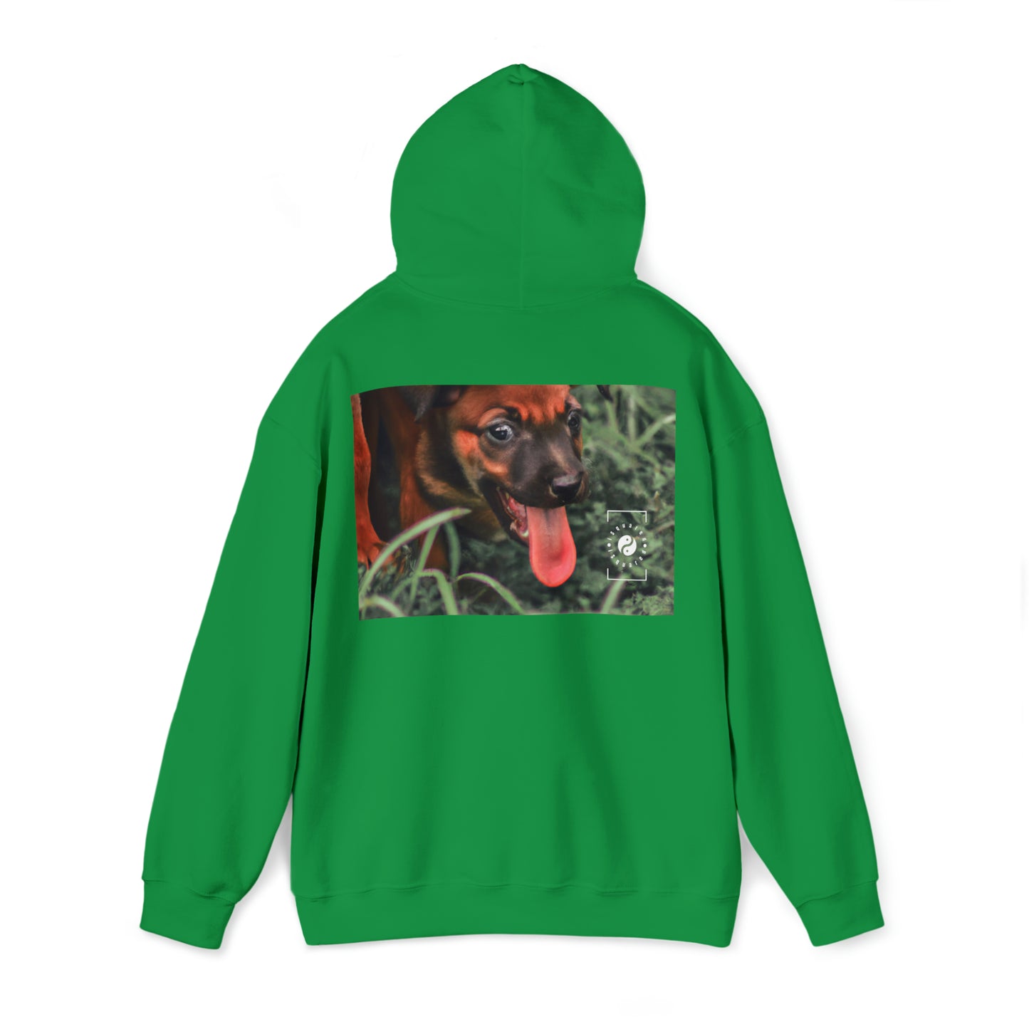 Bernardino da Veruzanno - Hoodie