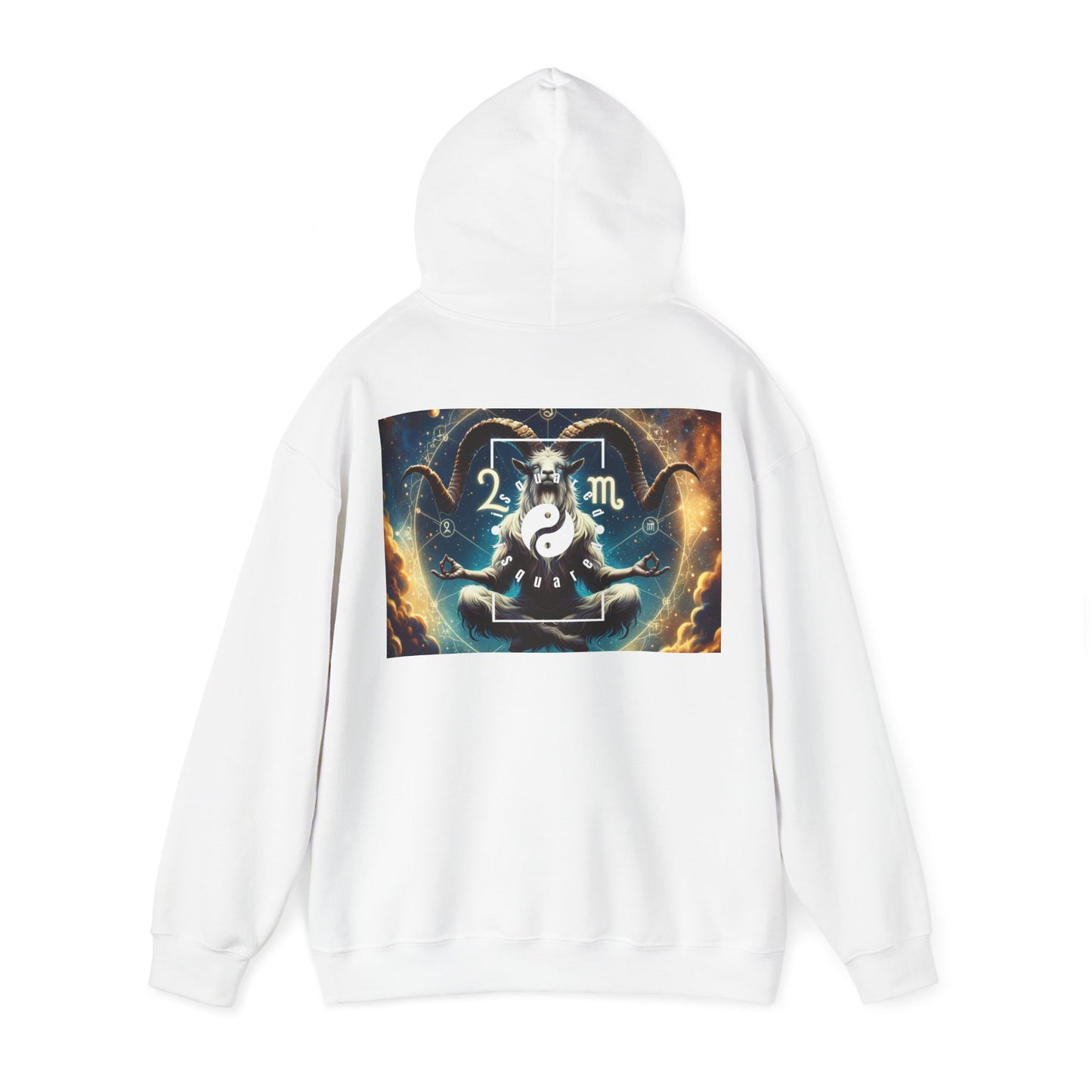 Audacious Capricorn - Hoodie