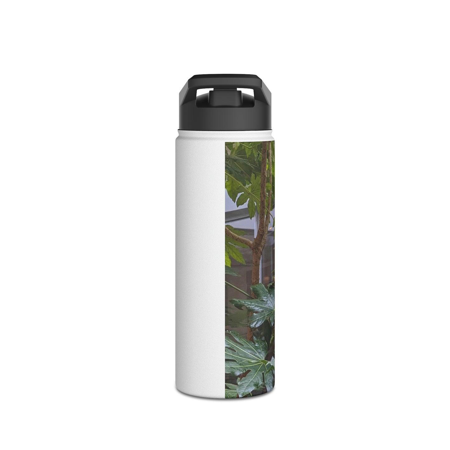 Plasky Jungle - Water Bottle