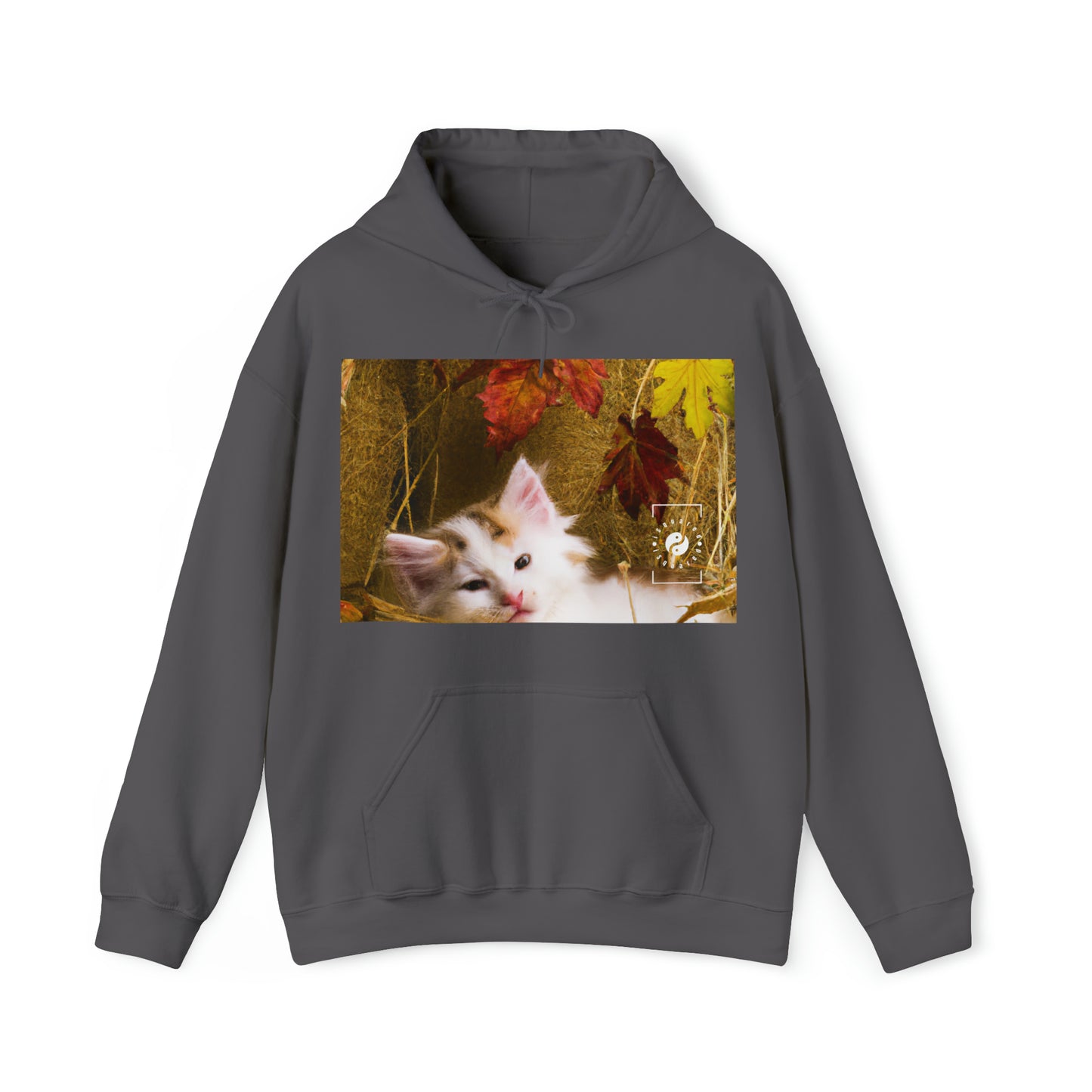 Artémio Vinci - Sweat à capuche