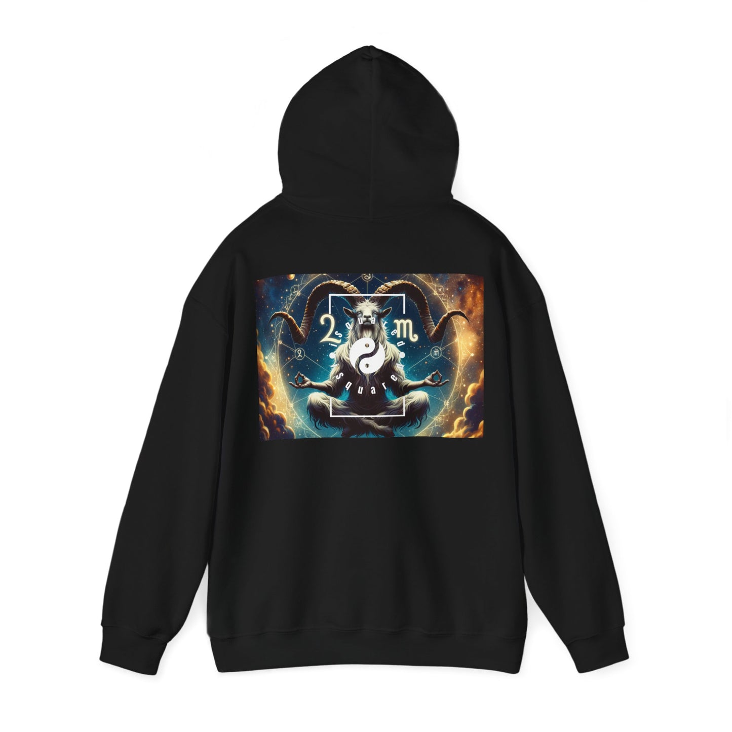 Audacious Capricorn - Hoodie