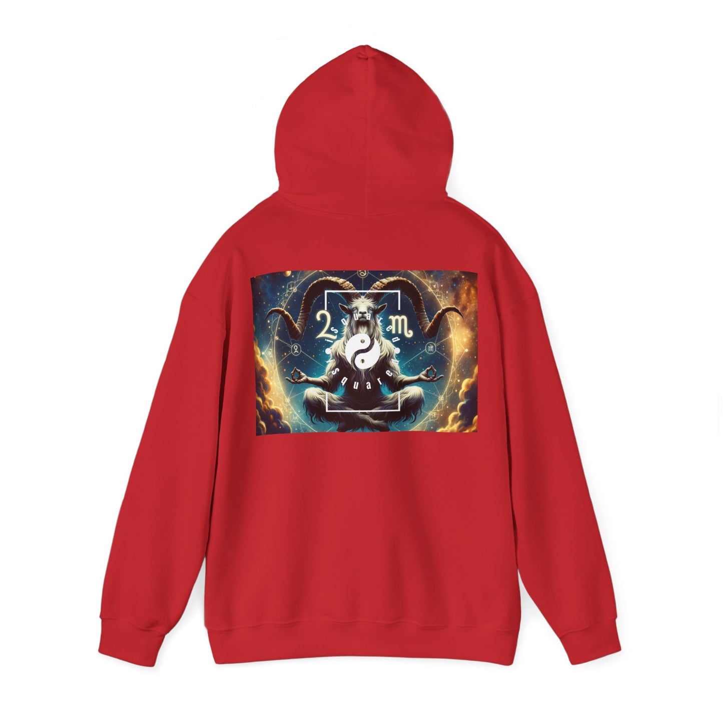 Audacious Capricorn - Hoodie