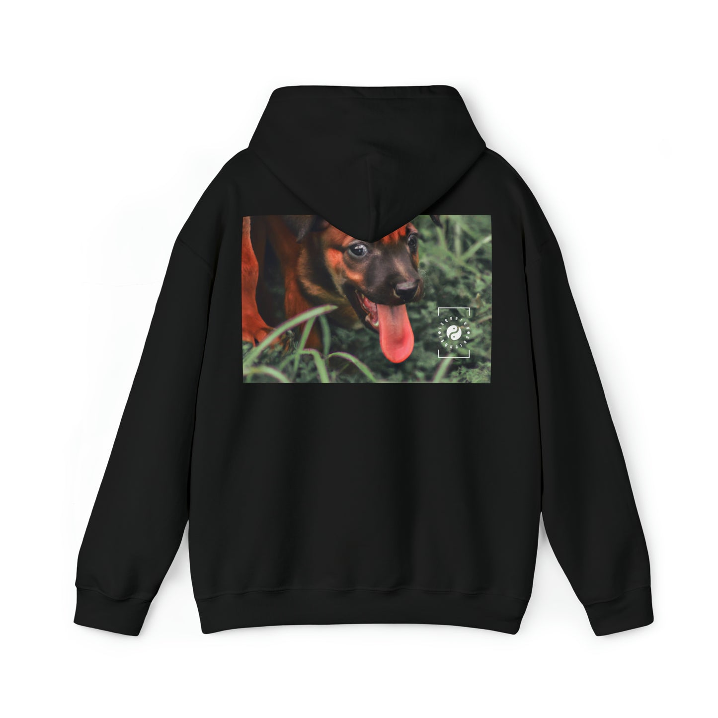 Bernardino da Veruzanno - Hoodie