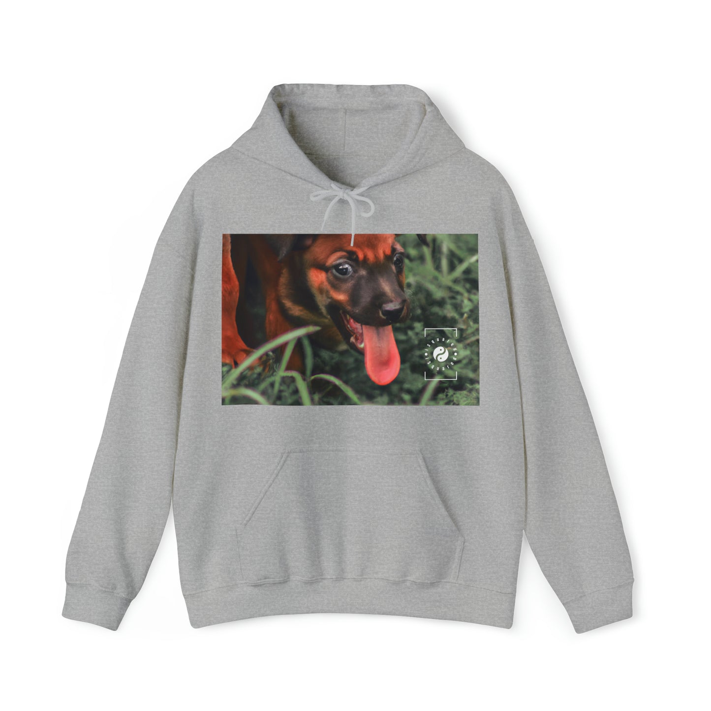 Bernardino da Veruzanno - Hoodie