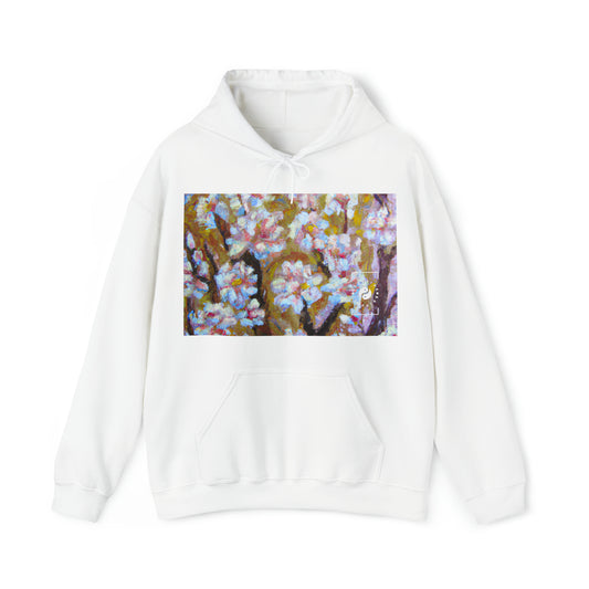 Aurelio da Verona - Hoodie