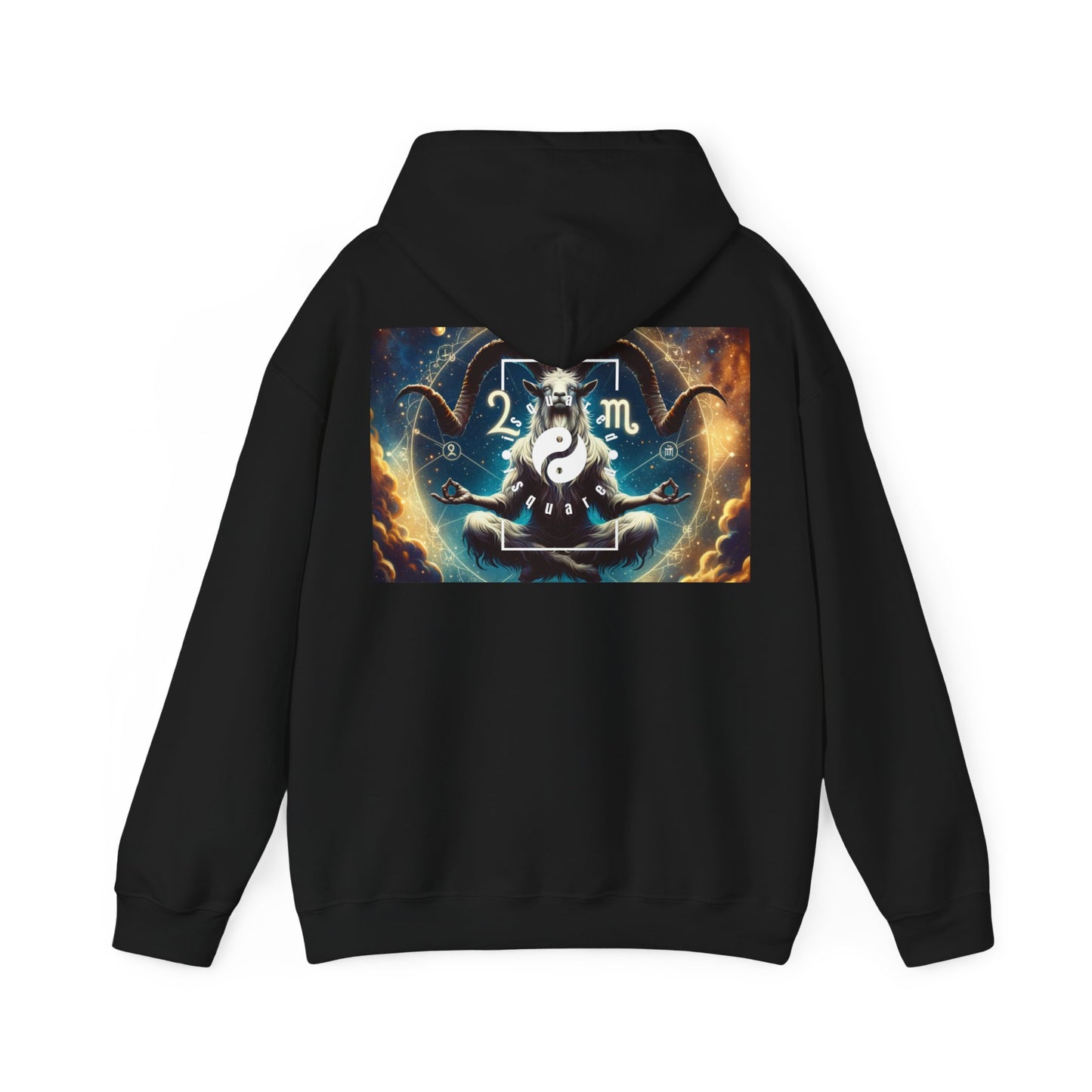 Audacious Capricorn - Hoodie