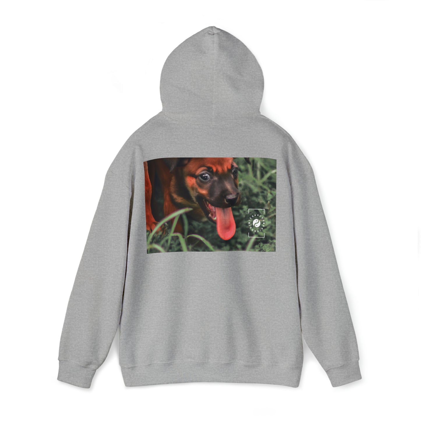 Bernardino da Veruzanno - Hoodie