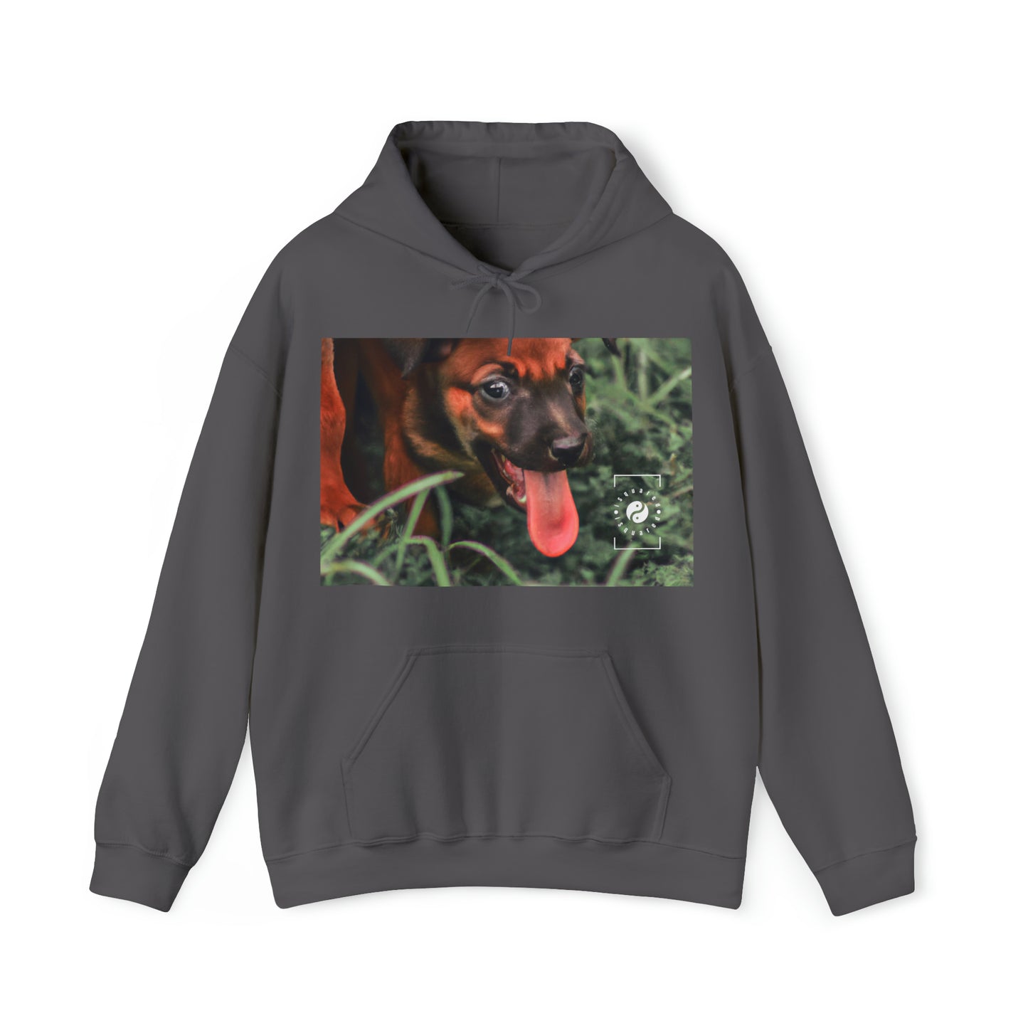 Bernardino da Veruzanno - Hoodie