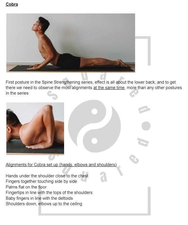 Hot Yoga 26+2 Practice Guide (Floor Series)