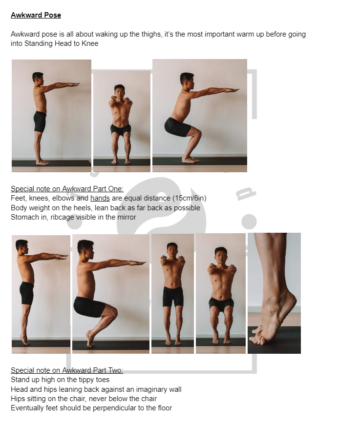 Guide de pratique du Hot Yoga 26+2 (série debout)